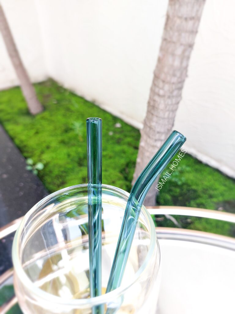 550ML CAN GLASS WITH STRAW SET (2 GLASS STRAWS)