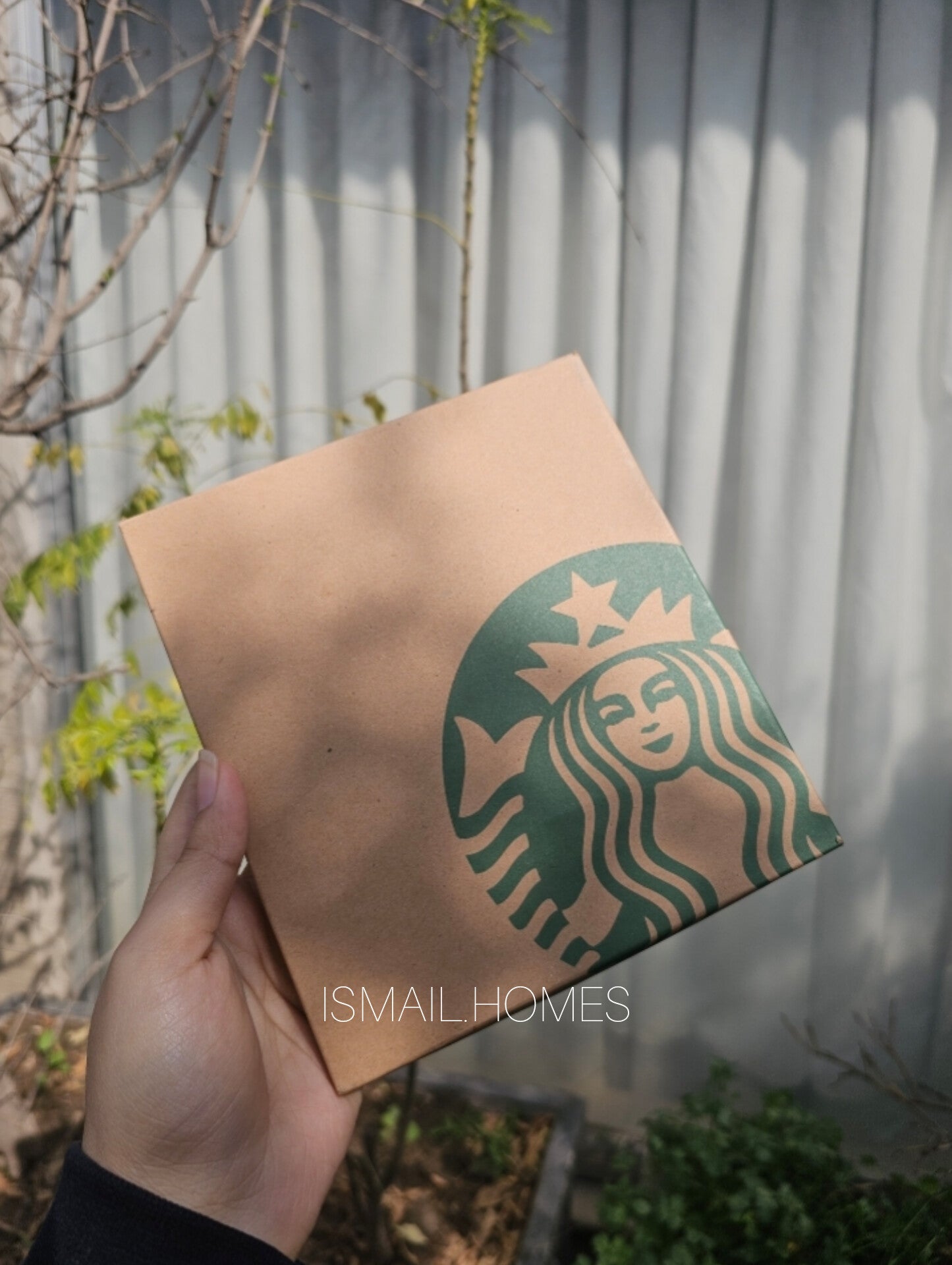 Starbucks Dessert Spoon Set