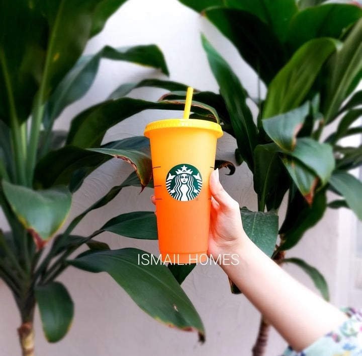 Set of 5 Starbucks Color Changing Cups