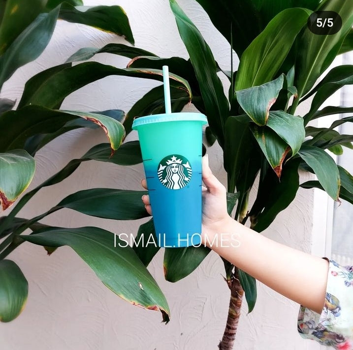 Set of 5 Starbucks Color Changing Cups