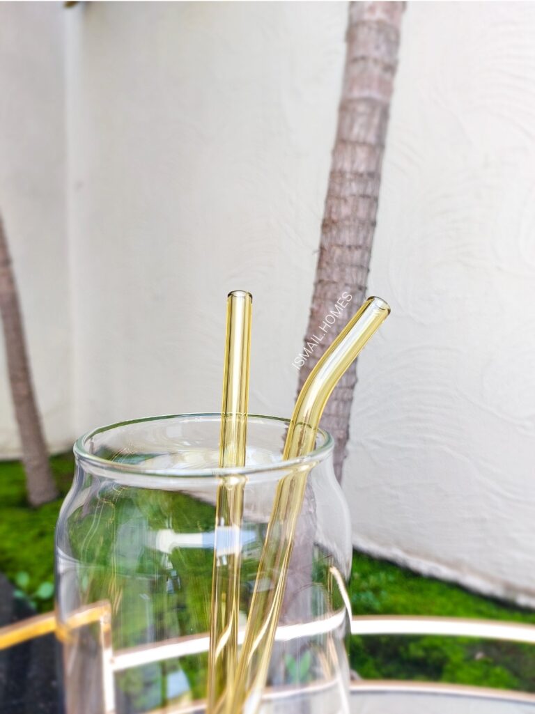 550ML CAN GLASS WITH STRAW SET (2 GLASS STRAWS)
