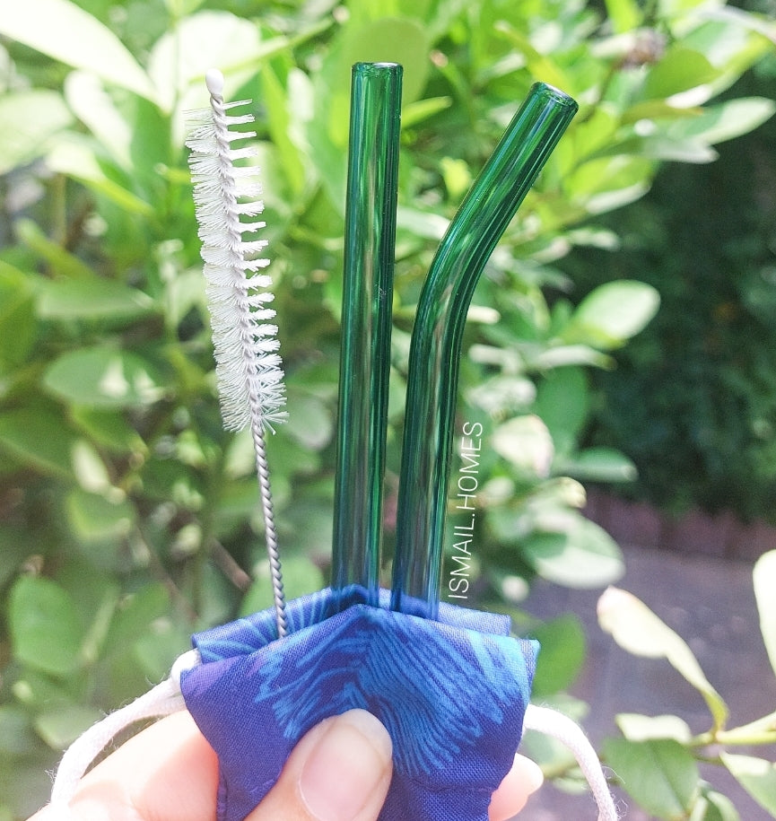 GLASS STRAW (SET OF 2) with cleaning brush and pouch